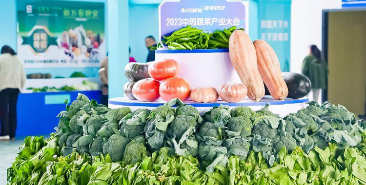 中国蔬菜产业大会召开，金额达18亿元的蔬菜供应项目在汉寿签约 