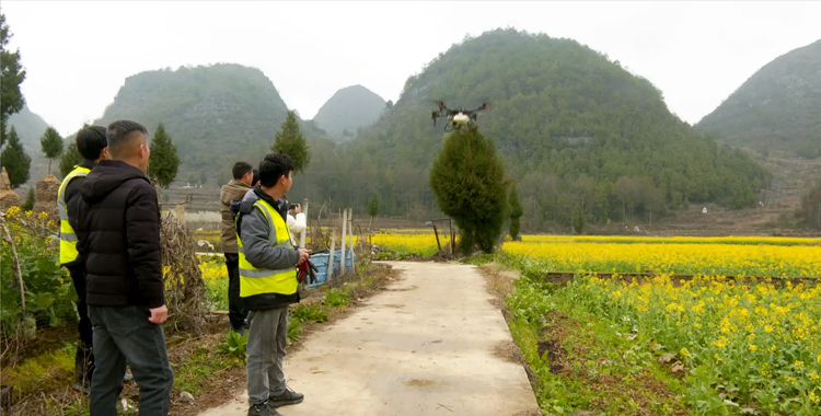 贵州平塘：无人机“飞防” 科技助农保丰收