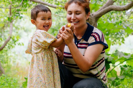 撬动全网热度暴涨百倍，一颗“黄金果”的逆袭路